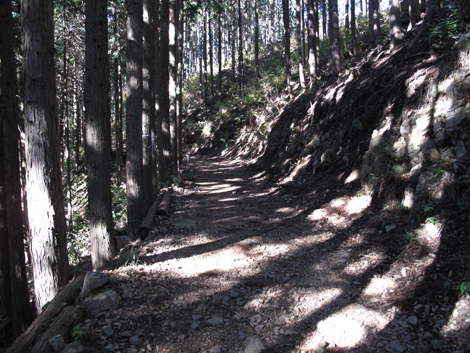 20151127hike (134)
